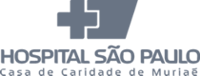 Hospital São Paulo (Muriaé)